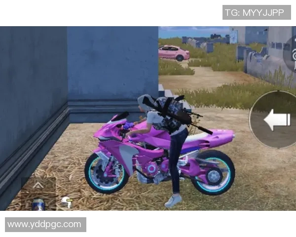 电竞实时数据引发平精英热议LNG节奏争议背后的深层原因解析 电竞实时数据引发平精英热议LNG节奏争议背后的深层原因解析