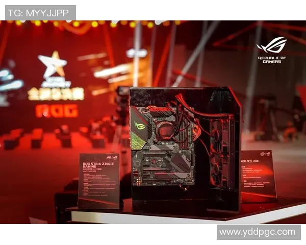 深度探讨张磊在CSGO中的成长历程与电竞人生探索实时数据